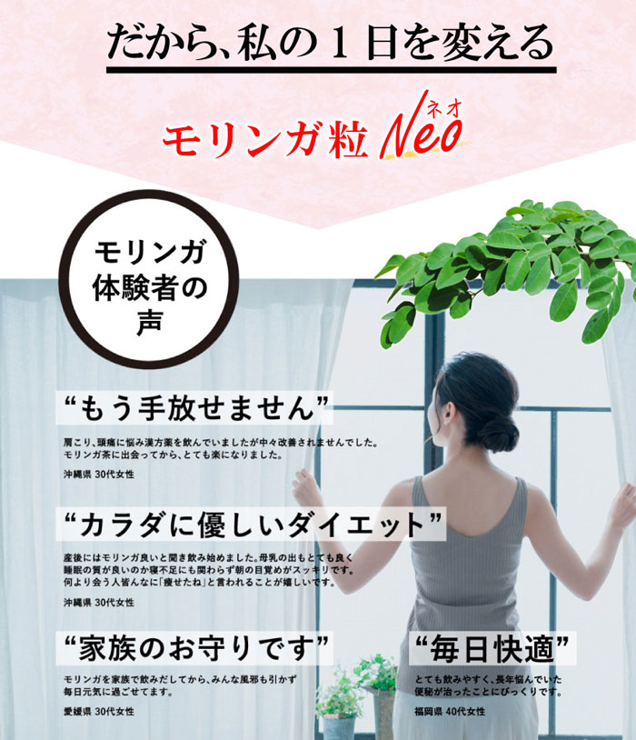 栄養素を豊富に含む 沖縄県産モリンガ茶 1袋×40g 2袋セット 正規認証品!新規格 1袋×40g