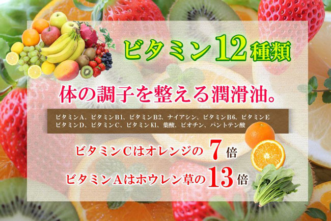 ビタミン12種類