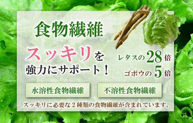 食物繊維