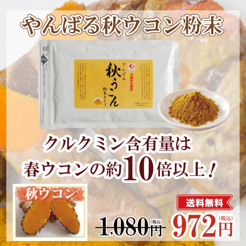 やんばる秋ウコン粉末パウダータイプ】農薬を一切使わず栽培した沖縄県産ウコンのみを使用 | 沖縄特産品南国市場