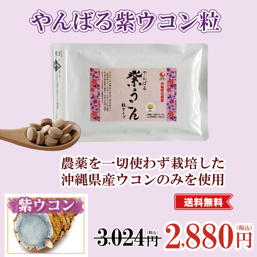 やんばる紫ウコン粉末パウダータイプ】農薬を一切使わず栽培した沖縄県産ウコンのみを使用 | 沖縄特産品南国市場