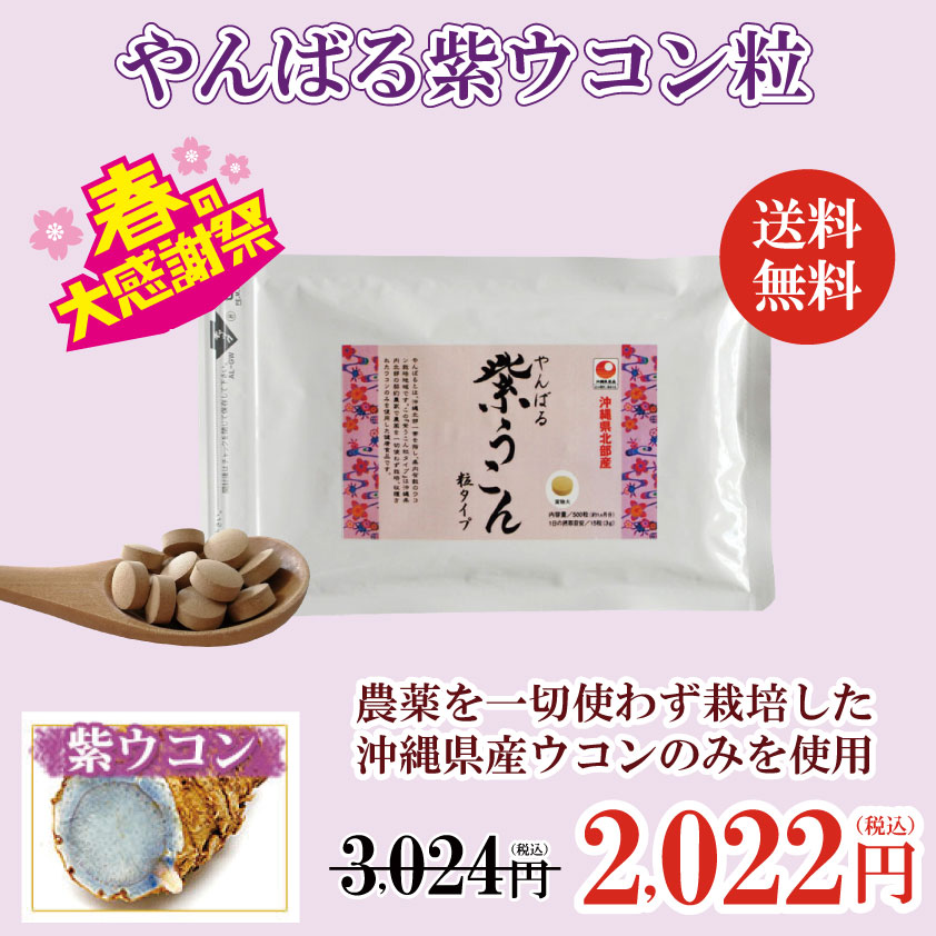 当店だけの限定モデル 沖縄県北部産 やんばる春ウコン粉末 袋入り 100g×12袋 送料無料 fucoa.cl