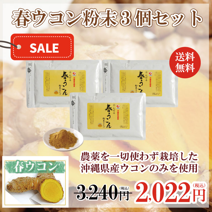 やんばる春ウコン粉末3個セット