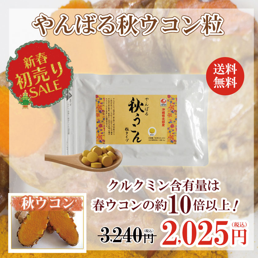 やんばる秋ウコン粒サプリメントタイプ】農薬を一切使わず栽培した沖縄県産ウコンのみを使用 | 沖縄特産品南国市場