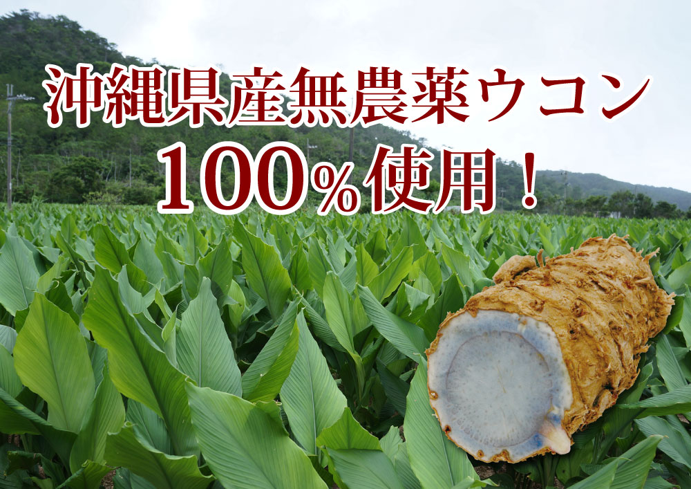 沖縄県産無農薬ウコンを100％使用紫ウコン