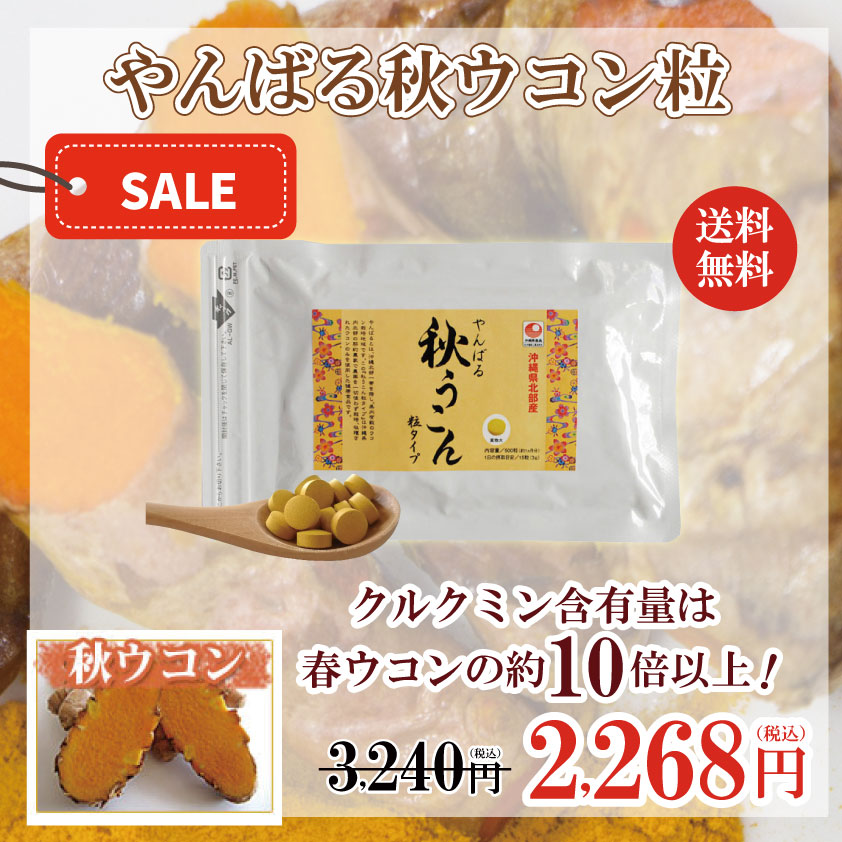 完全無農薬沖縄県やんばる産生秋ウコン20kg⑤ 