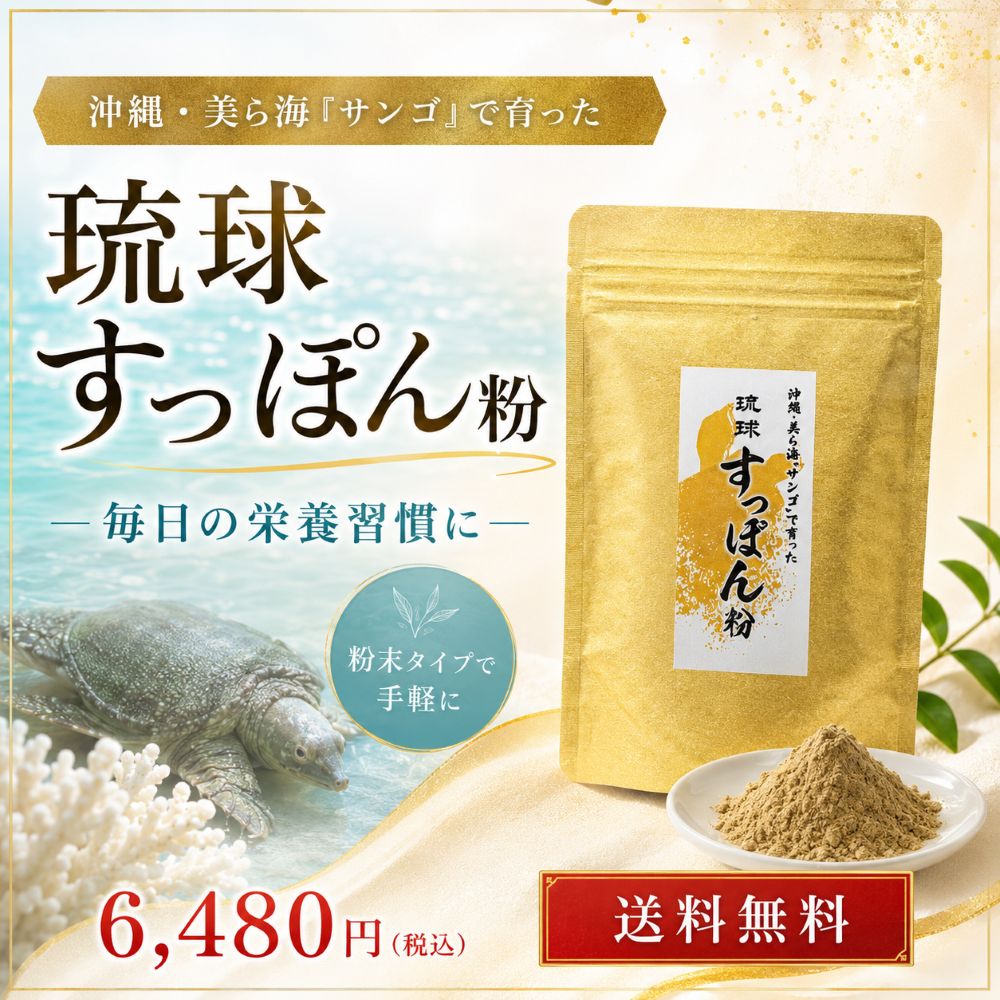 沖縄産の琉球すっぽん粉末でキレイと元気をサポート！自然の力で内側 